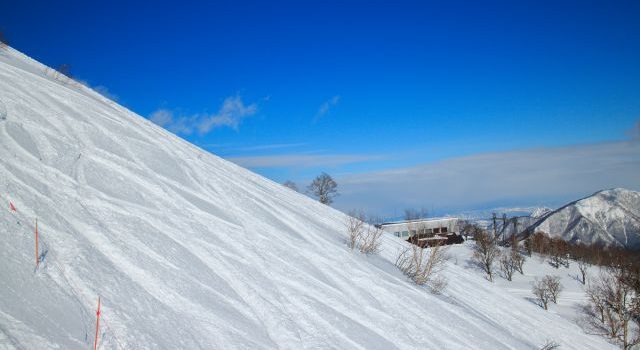 満足度の高いスキーツアーを選ぶテクニック