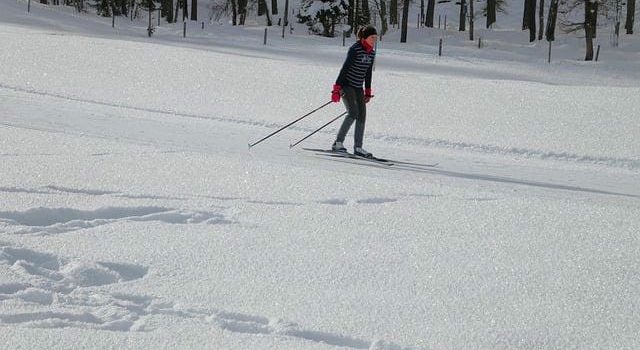 スキーはツアーで楽しむのがお得